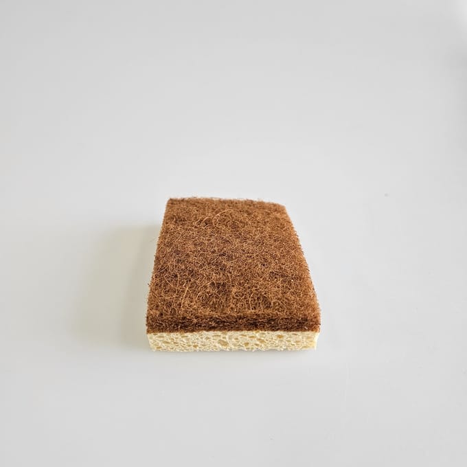 Schuurspons x 5 stuks (PITOR®)