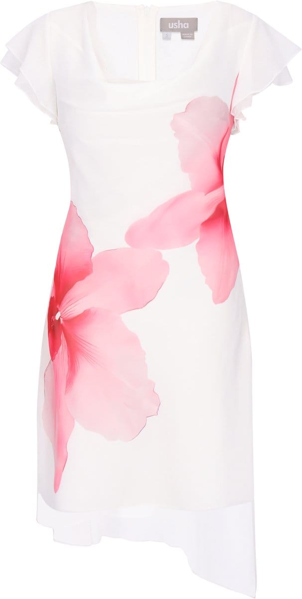 usha Dress
