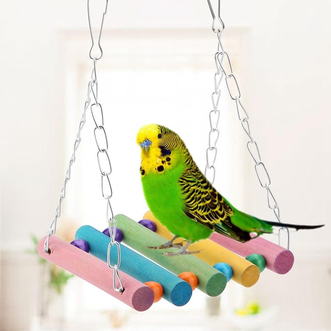 Lot de 6 balançoires à mâcher en bois pour perroquets et oiseaux beige