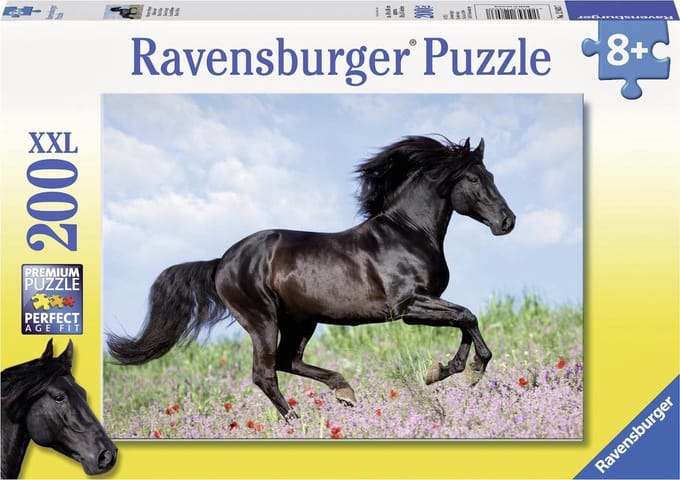 Zwarte hengst
