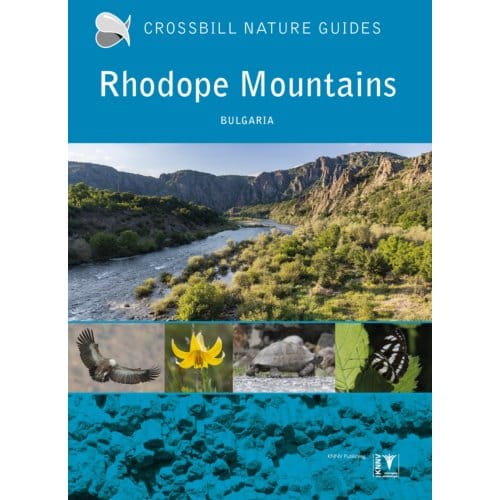 Rhodope Mountains - Crossbill Nature Guides - Dirk Hilbers