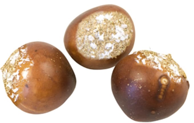 HOBI - 6 kunstmatige kastanjes met sneeuw 2,2 cm voor tafel