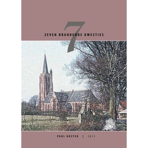 Zeven Brandende Kwesties - Paul Koster