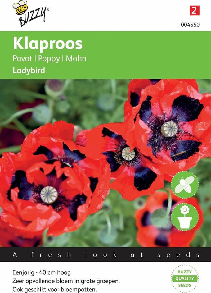 Buzzy® Papaver commutatum Lady Bird