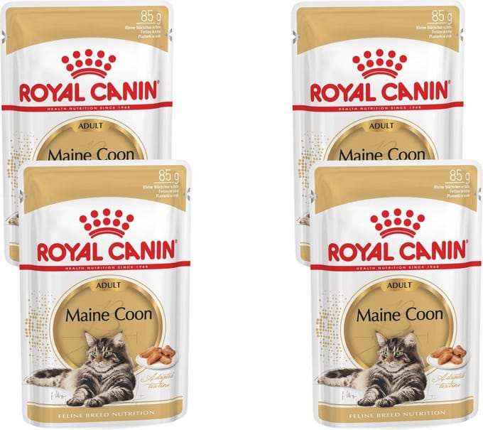 Royal Canin - Kattenvoer Nat Maine Coon Loaf - 48 x 85 gr