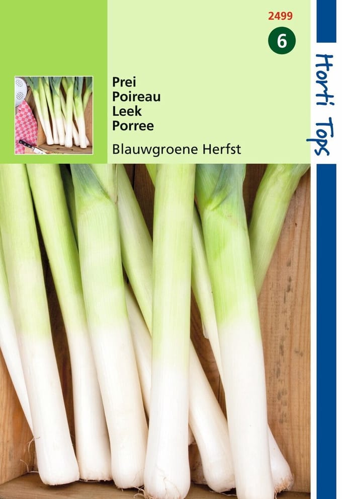 2 stuks - Hortitops - Prei Blauwgroene Herfst Ideal