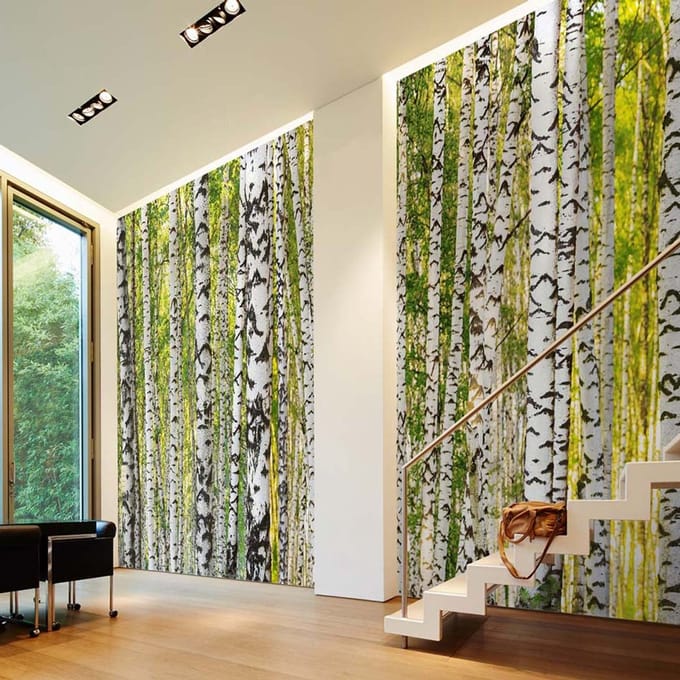Fotobehang BirchForest DD109165 A.S. Création AP Digital 4 | Goedkoop fotobehang