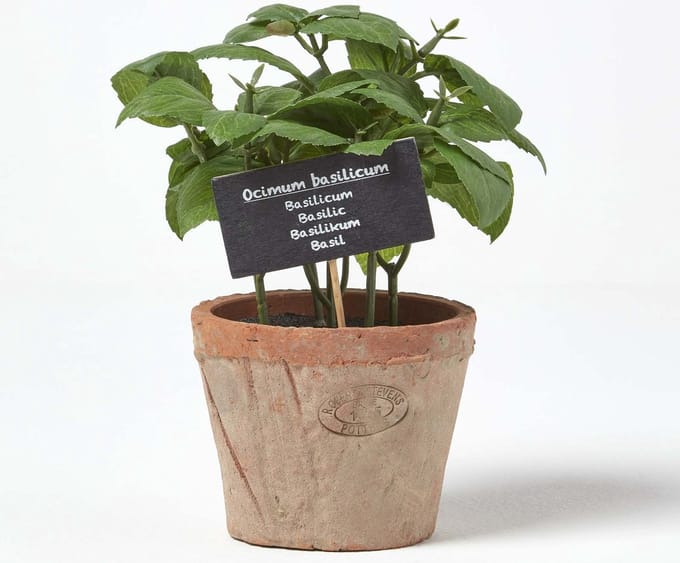 Homescapes Kunstmatige Basilicum Potplant