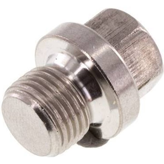 Plug G1/8'' RVS met Kraag En Buitenzeskant 40bar [2 Stuks]