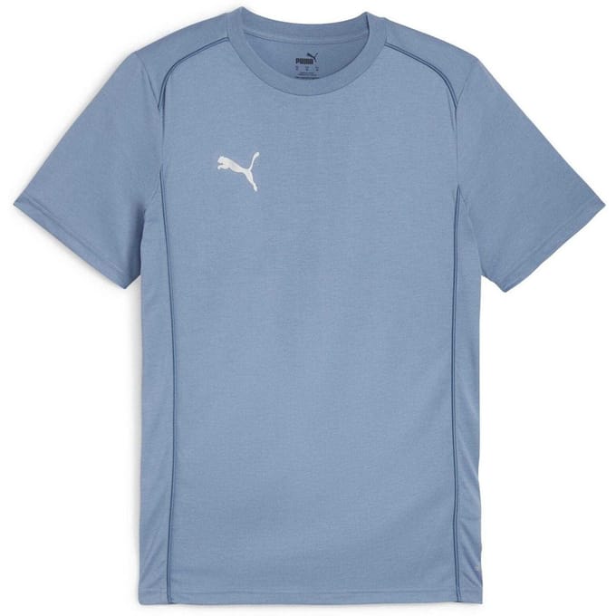 Puma Heren TeamFinal T-Shirt (Blauw)