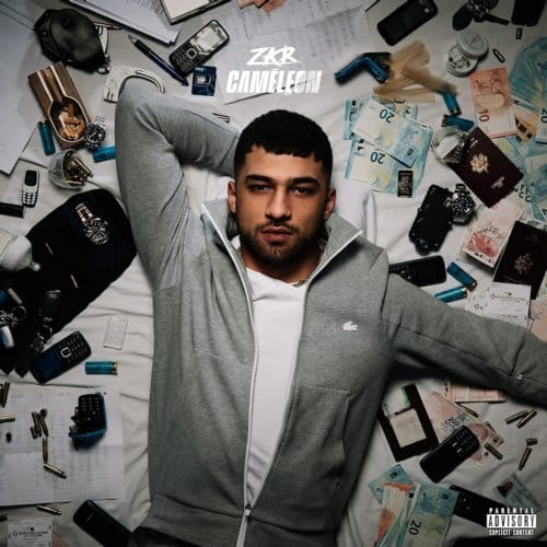ZKR - Caméléon