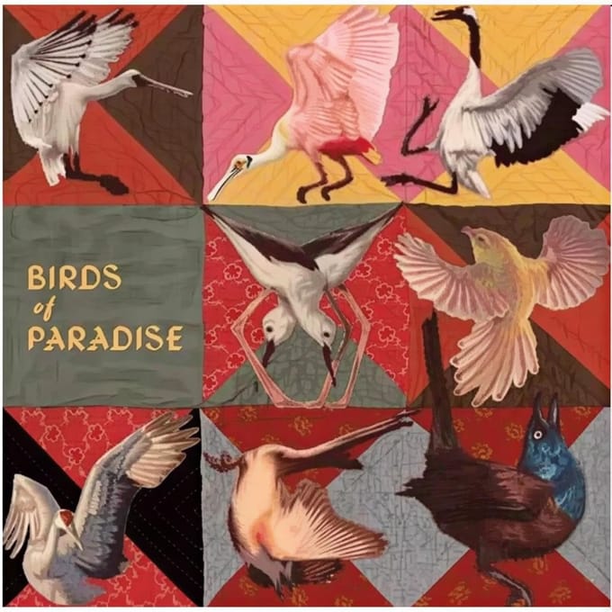 Thomas Dollbaum - Birds Of Paradise (LP)