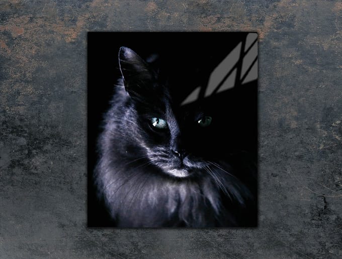 TMK ArtDeko - Snijplank - Glas - 45x52 cm - Kat