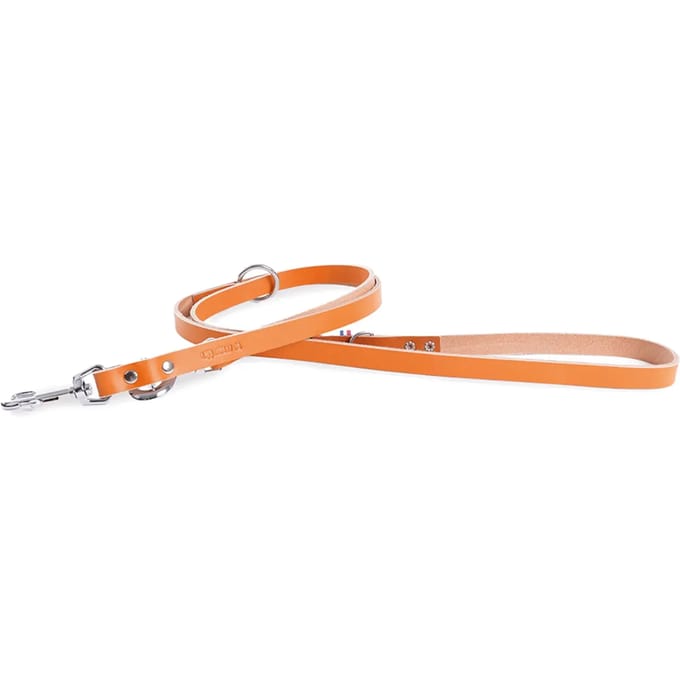 Multikleuren leren hondenriem Martin Sellier 499