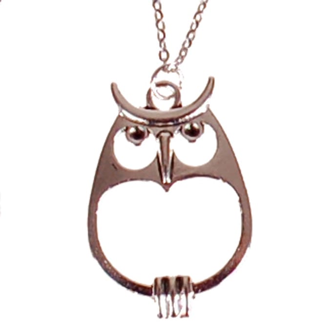 Ketting RVS 55cm - Hangertje Uil Zilverkleurig 3,5x2cm