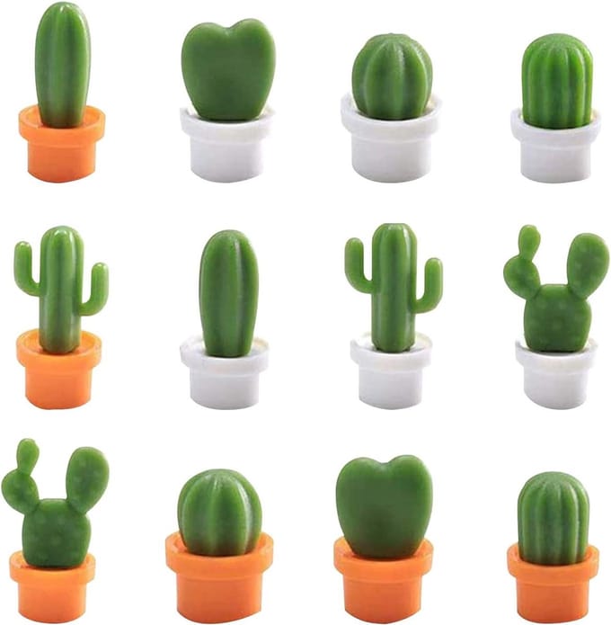 Solidchoice - Set van 12 Koelkastmagneten in Cactusbal Vorm