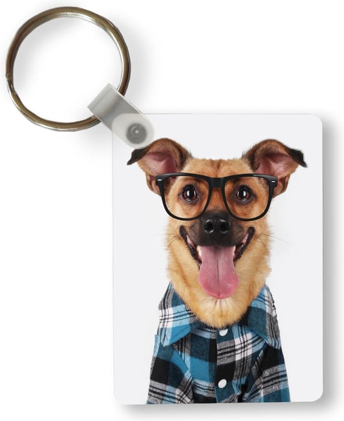 Sleutelhanger - Hond - Blouse - Bril - Hipster - Uitdeelcadeautjes - Plastic