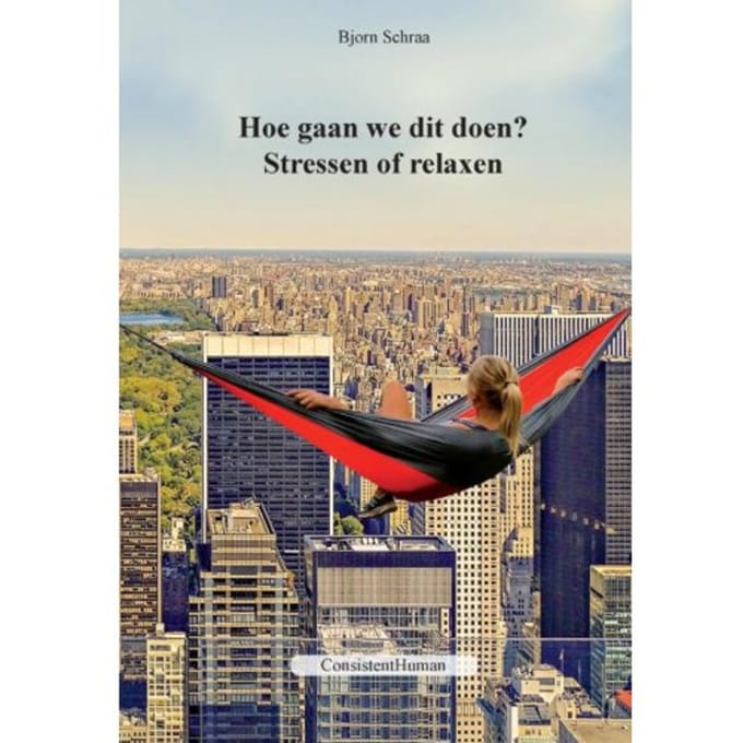Hoe Gaan We Dit Doen? - Bjorn Schraa