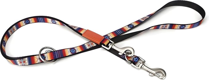 Beeztees Huvos - Hondenriem - Multi - 200 cm x 20 mm