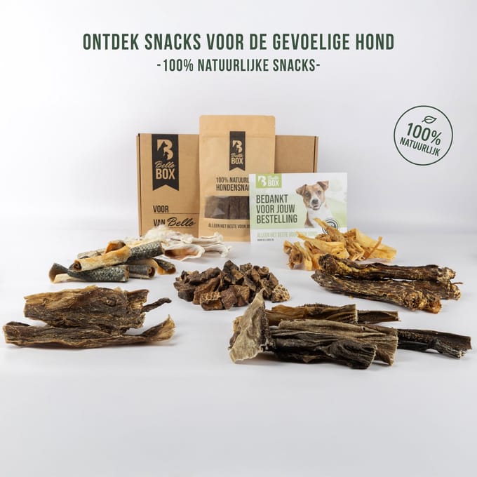 Hypoallergene Hondensnacks Box – Zonder Kip en Rund | Bellobox