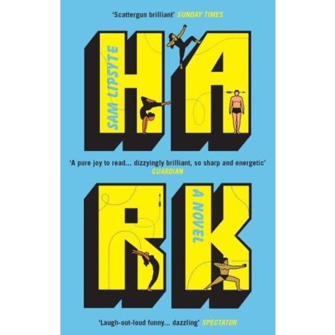 Hark de Sam Lipsyte Livre de poche 9781783783236