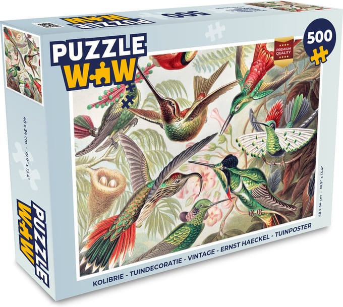Puzzel Kolibrie - Vintage - Ernst Haeckel - Vogel - Kunst - Natuur - Legpuzzel - Puzzel 500 stukjes
