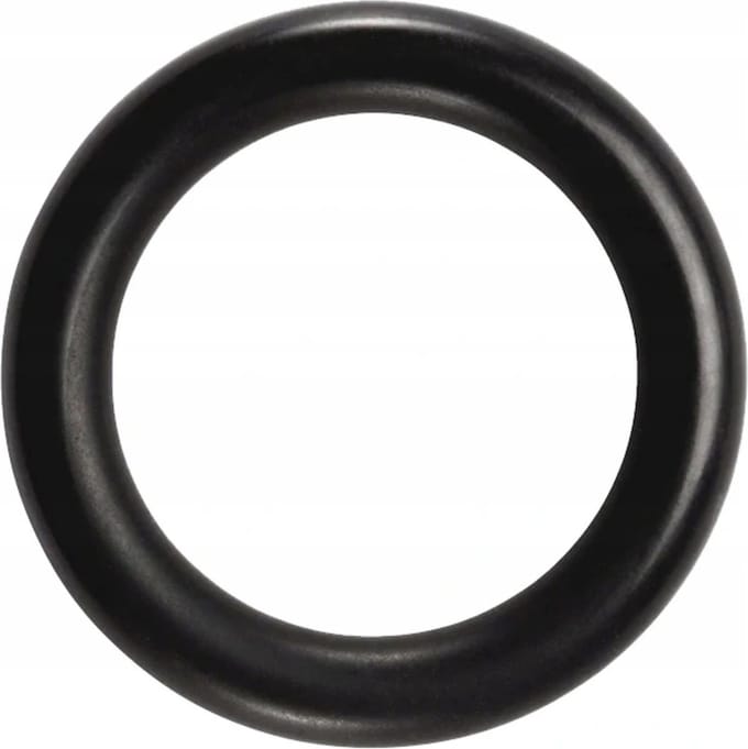 Saeco O-ring Van doseer inrichting DM=10mm SUP0310R 996530059441