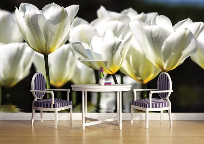 Flowers Poppies Photo Wallcovering