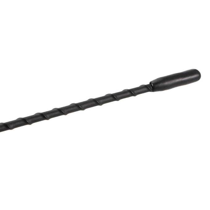 9  Universele autoradio Flexibele anti-geluid Beesting antenne