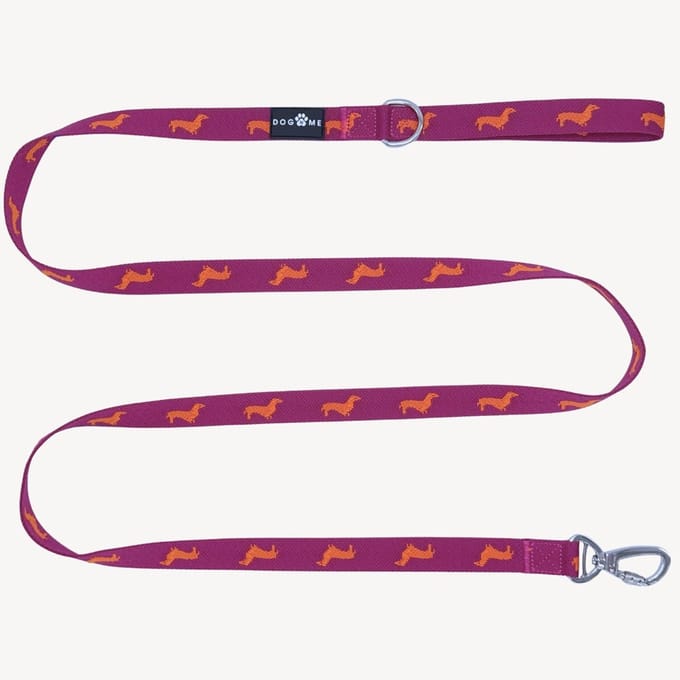 Teckels - Hondenriem - M- 2,5 cm breed - 2 m / 2 meter / 200 cm lang - Leiband hond