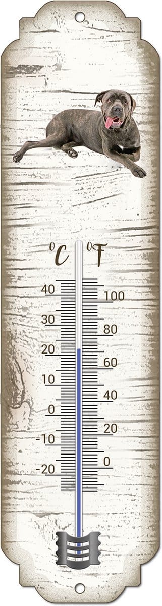 Thermometer: Cane Corso | Hondenras | Temperatuur binnen en buiten | -25 tot +45C