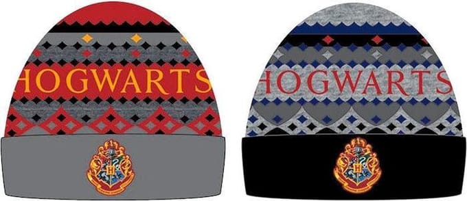 Harry Potter Hogwarts Assorted Hat