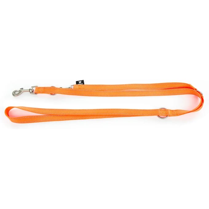 Multifunctionele hondenriem van nylon Martin Sellier