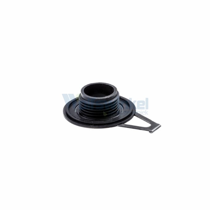 Pinion