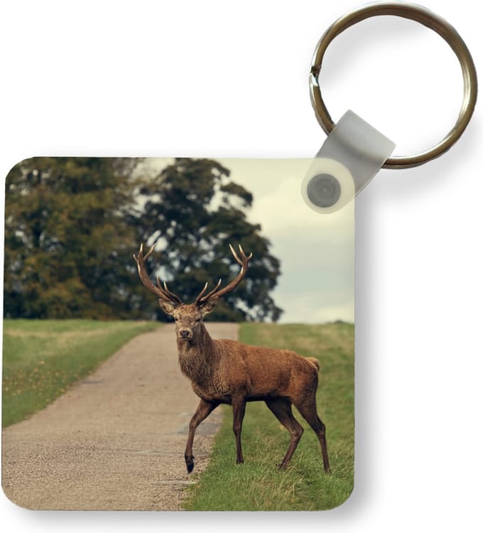 Sleutelhanger - Uitdeelcadeautjes - Hert - Groen - Gras - Plastic