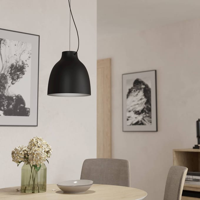 EGLO Camasca Hanglamp - E27 - Ø 28 cm - Zwart