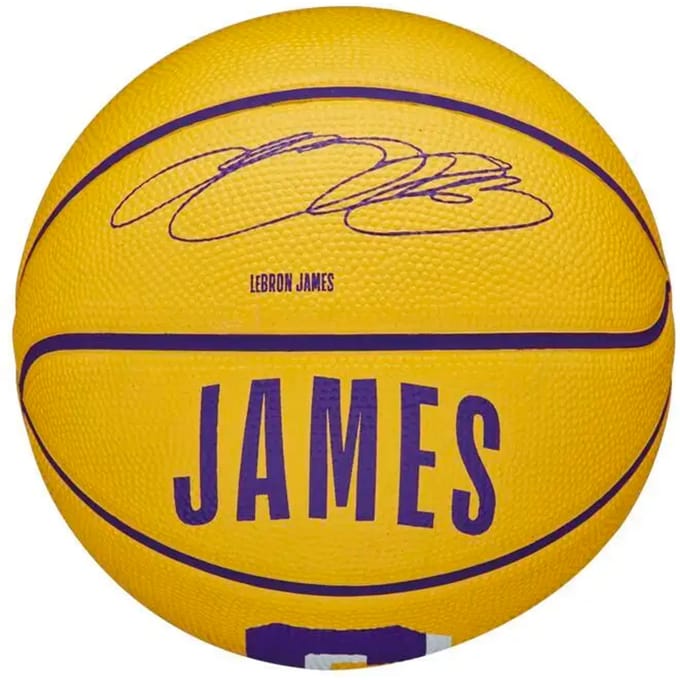 Mini Bal Wilson NBA Lebron James