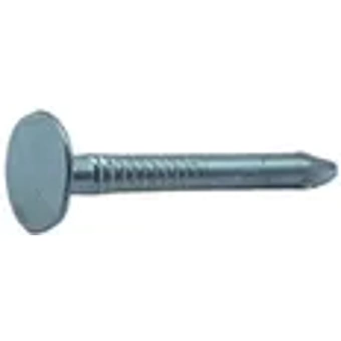 Sencys Asfaltnagels Met Platte Kop Gegalvaniseerd 3x30mm - 100 Stuks
