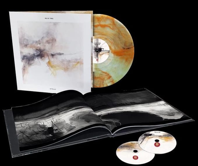 Held By Trees - Hinterland (LP | CD | DVD) (Coloured Vinyl) (Deluxe Edition)