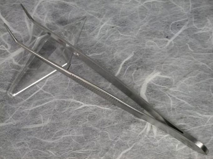 A.a.s. splinter pincet 13cm stainless/sa