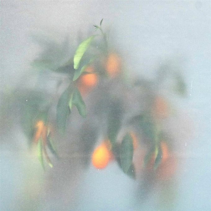 µ-Ziq & Mrs Jynx - Secret Garden (CD)
