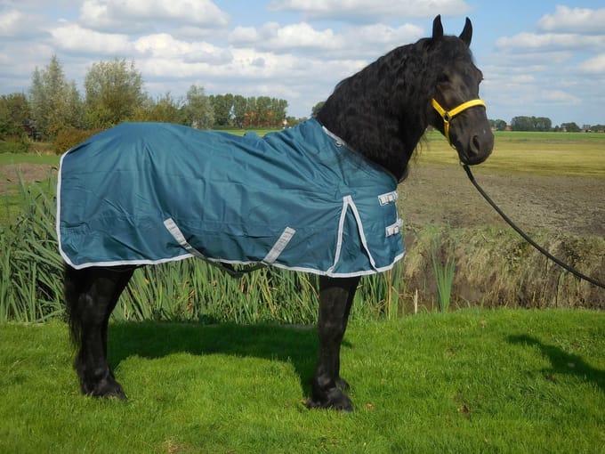 Buitendeken de luxe 450gr petrol groen paardendeken - maat 185