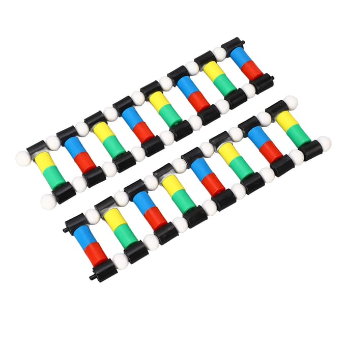 DNA Weergavemodel Dubbele Helix Structuur Moleculair Model Kit voor Biologisch Genetisch Gen Onderwijs black