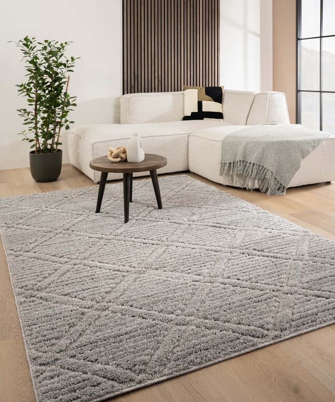 Scandinavisch vloerkleed - Arc Gem lichtgrijs 160x230