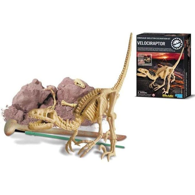 4M Graaf Je Dino Op - Velociraptor - Opgraafkit En Modelbouw Skelet - KidzLabs - 8 Jaar