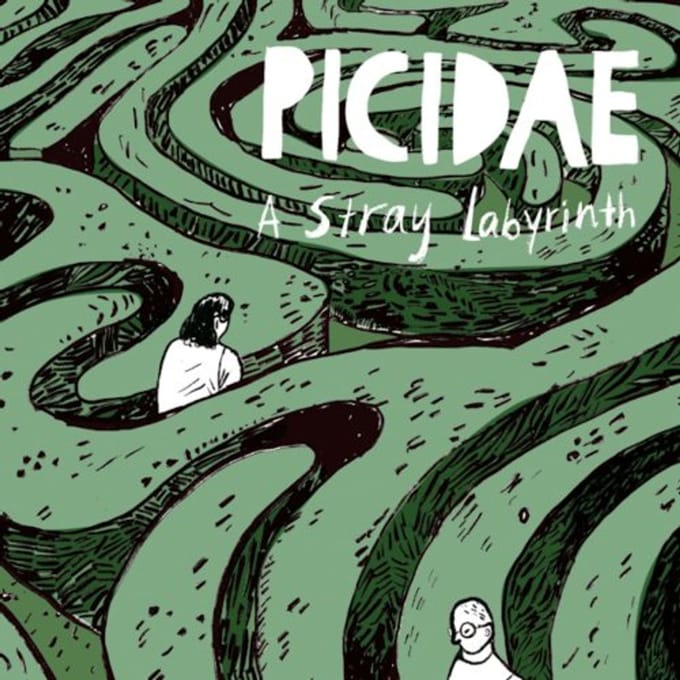 Picidae - A Stray Labyrinth (LP)
