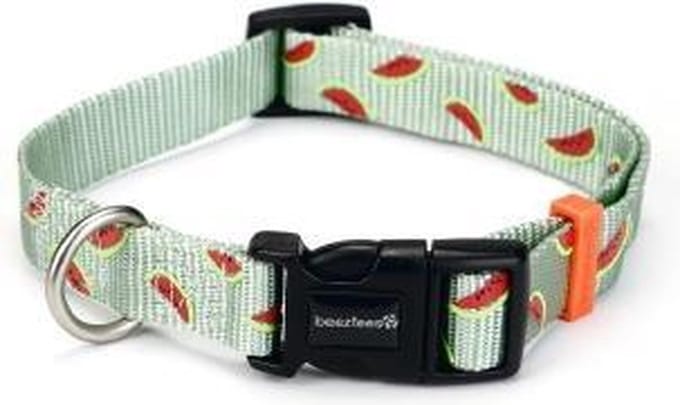 Beeztees nylon halsband Melon Lichtgroen 48 - 70 cm x 25 mm