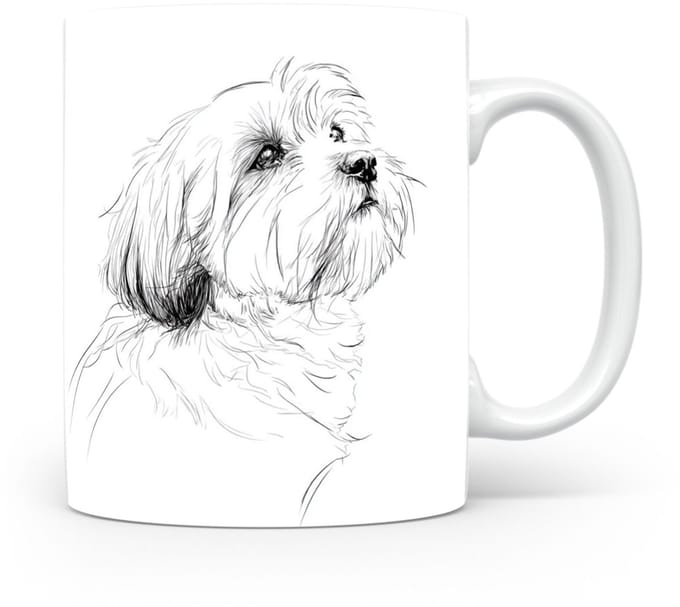 Beker Lhasa Apso