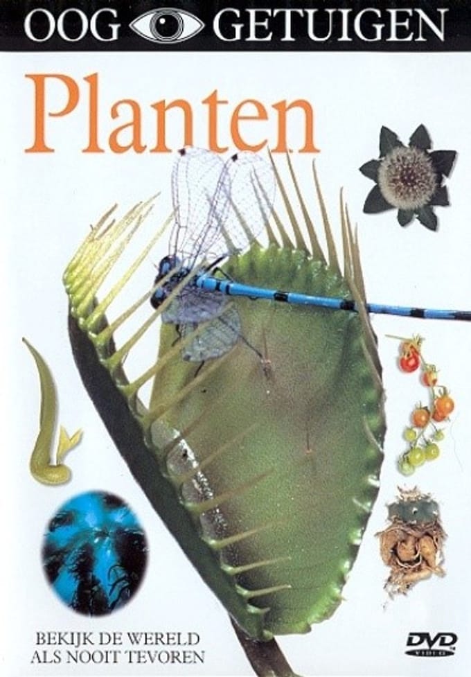 Ooggetuigen - Planten (DVD)