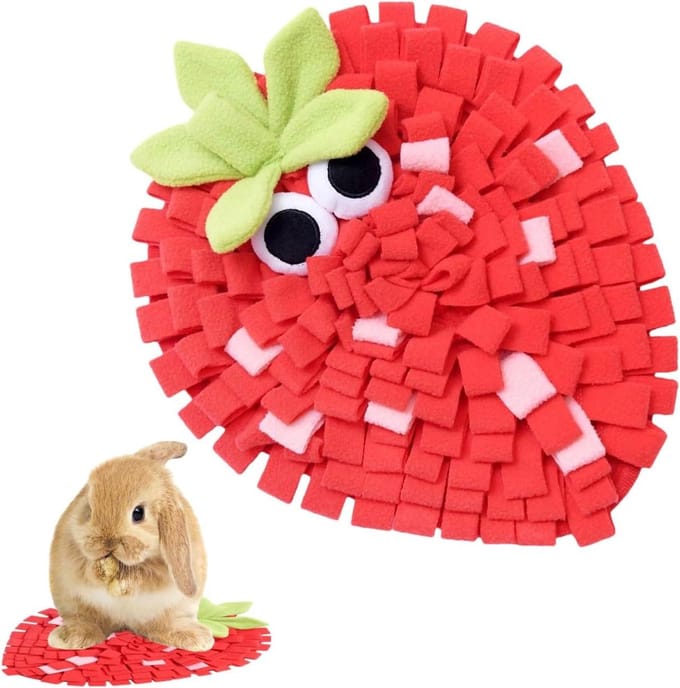 Hondensnuifmat - Snuffelkleed - Interactieve voeding - Fruitvorm verrijking - Middelgroot - Rood